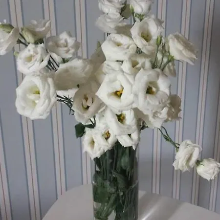 Bed and breakfast Porta Baresana 4*