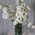 Bed & Breakfast Porta Baresana 4*